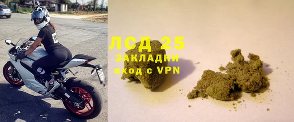 шишки Абаза