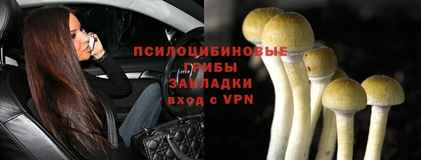 стафф Алзамай
