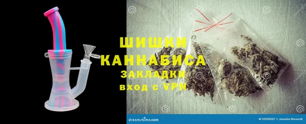 шишки Абаза