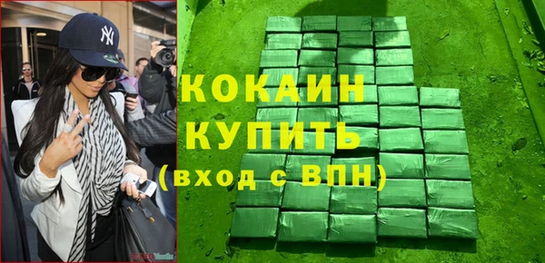 шишки Абаза