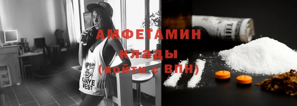 шишки Абаза