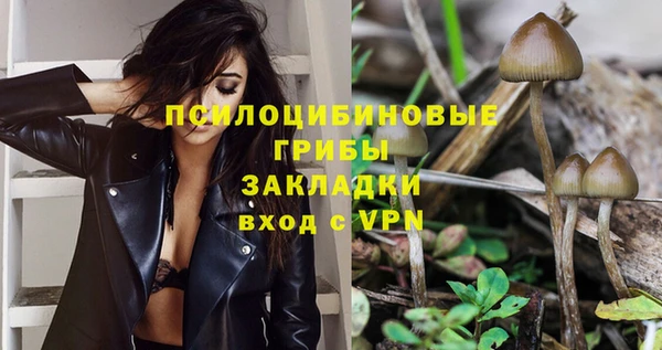 винт Алексеевка