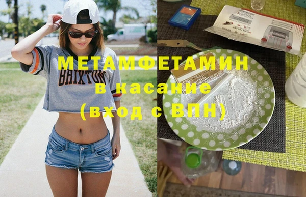 шишки Абаза