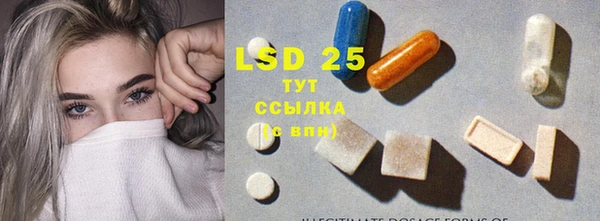 шишки Абаза