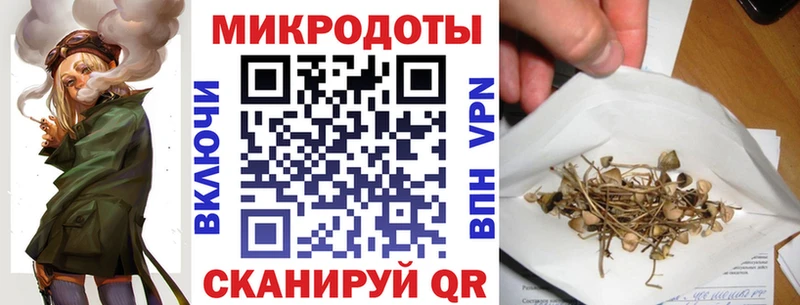 даркнет сайт  Электрогорск  Галлюциногенные грибы GOLDEN TEACHER 